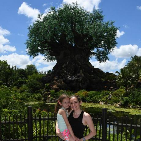 Disney Photopass gyvūnų karalystės gyvybės medis
