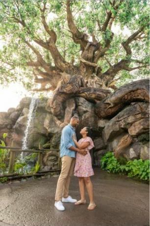 įamžinkite savo akimirką Disney fotosesija gyvūnų karalystės gyvybės medis