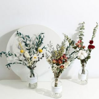 Džiovintos gėlės vazoje 