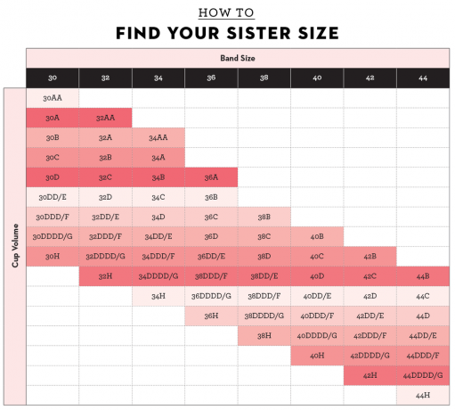 rožinė diagrama, kurioje pavaizduoti seserų dydžiai: 30a ir 32aa, 30b ir 32a ir 34aa, 30c ir 32b ir 34a, 30d ir 32c ir 34b ir 36a, 30e ir 32d ir 34c ir 36b, 30f ir 32e ir 34d ir 36c ir 38b, 30g ir 32f ir 34e ir 36d ir 38c ir 40b, 30h ir 32g ir 34f ir 36e ir 38d ir 40c ir 42b, 32h ir 34g ir 38e 40d ir 42c ir 44b, 34h ir 36g ir 38f ir 40e ir 42d ir 44c, 36h ir 38g ir 40f ir 42e ir 44d, 38h ir 40g ir 42f ir 44e, 40h ir 4h ir 44c 44g